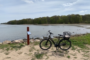 Horsens Fjord