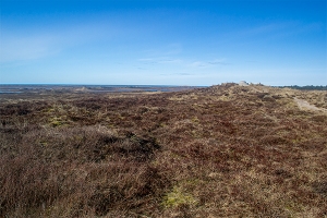 Nordjylland