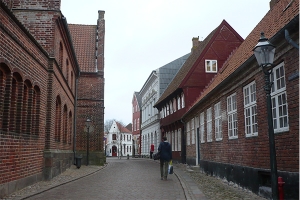 Ribe